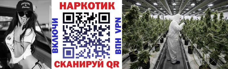 Галлюциногенные грибы Воронеж