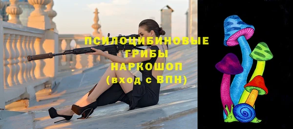 таблы Каменка