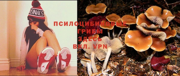 круглые Каменногорск