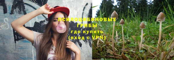 круглые Каменногорск