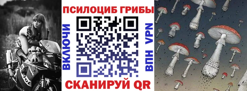 Псилоцибиновые грибы Psilocybine cubensis  Воронеж 